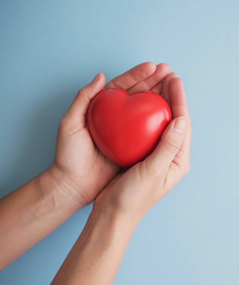 Mains tenant un coeur rouge
